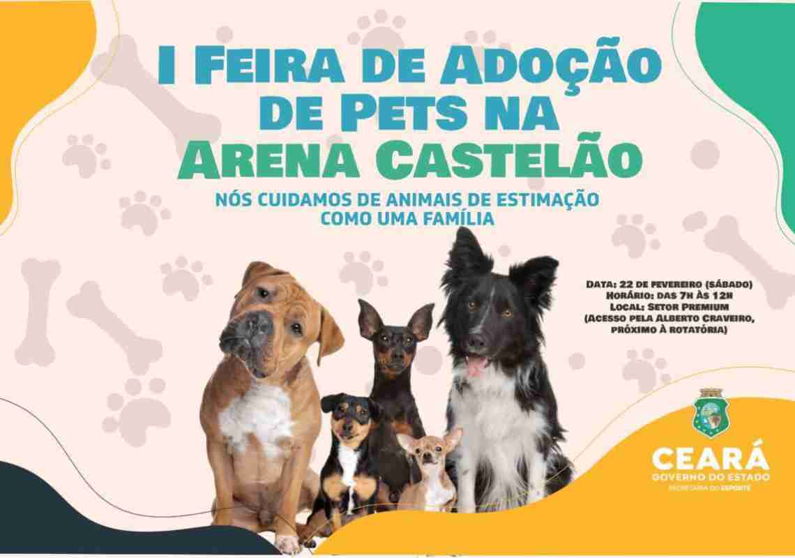 Arena Castelão realiza I Feira de Adoção de Animais, neste sábado (22)